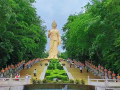 -西双版纳勐泐文化旅游区