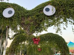 -东南花都花博园