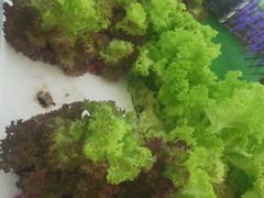 -晶宝温泉农庄