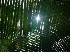 -华南国家植物园-售票处