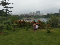 -飞来湖湿地公园