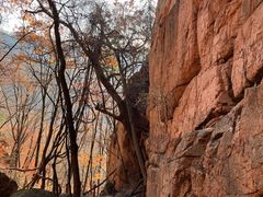 -五女峰国家森林公园