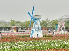 -盈香心动乐园