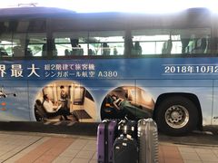 -AAS免税店
