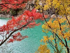 -叠溪松坪沟景区