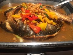 -龙门烤鱼(东方宝泰店)
