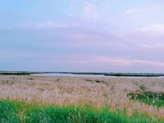 -哈素海