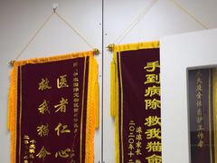 -中农国际动物医院24小时·猫科·骨科·急重症中心