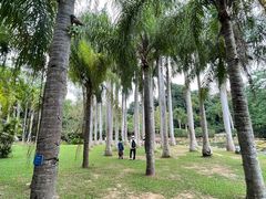 -中国科学院西双版纳热带植物园