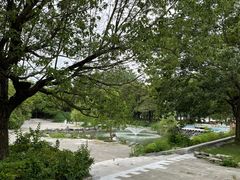 -溱湖国家湿地公园