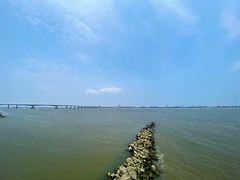 -大湾区中央湿地公园
