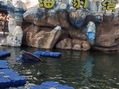 -华夏文旅西安度假区