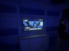-V SHOW max KTV(粉巷店)