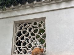 -西园戒幢律寺