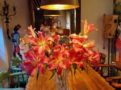 -六月花园咖啡馆(中关村东路店)