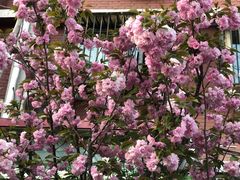 -麦当劳(展览路店)