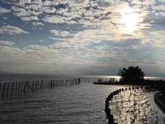 -深圳湾公园-停车场
