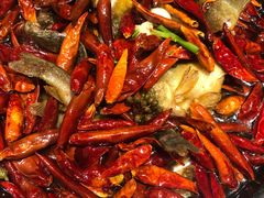 -丹江渔村(望京店)