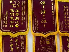 -美联众合爱康动物医院•复杂内科•肿瘤科•牙科•腔镜诊疗中心
