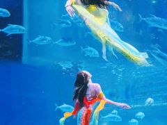 -华夏文旅海洋公园