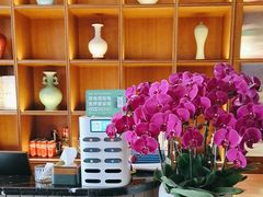 -栾氏荟(柳园店)