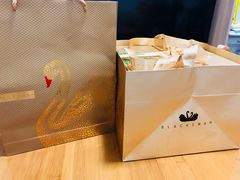 -BLACKSWAN黑天鹅(环球店)