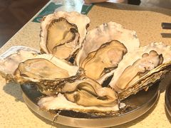 -蚝堡·生蚝海鲜烧烤物种起源•海肠捞饭(刘公岛店)