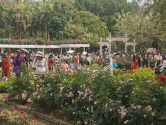 -人民公园(罗湖区)