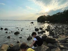 -宝安西湾红树林湿地公园