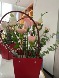 -宝生月子中心(民治店)