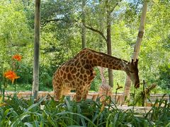 -北京野生动物园