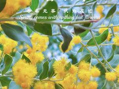 -西湖公园(鼓楼区)