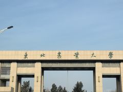 -东北农业大学饺子园