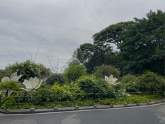 -海珠湖公园