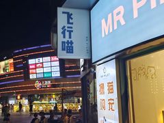 -飞行喵MR PILOT|猫舍·猫咖(静安大融城店)