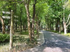 -东湖落雁景区