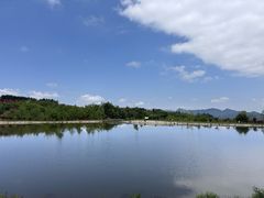 -玉舍国家森林公园