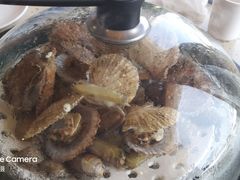 -港畔赶海蒸汽海鲜烧烤自助(仙螺岛店)
