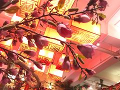 -百年神厨·地道川菜(清江西路店)