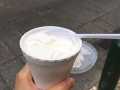 -洪馨椰子