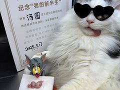 -芭比堂动物医院·心脏专科·夜诊·吉雅分院