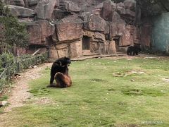 -无锡动物园·太湖欢乐园