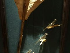 -海洋之星休闲汗蒸浴场