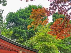 -有栖山 清光院 清水寺