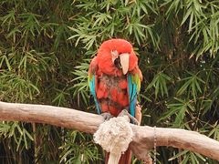 -上海动物园(地铁站)