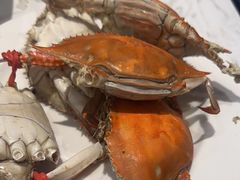 -半岛听涛蒸汽海鲜自助(K11店)