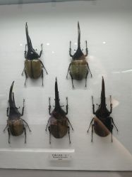 -酷嗒动物文化乐园(cutezoo西溪乐天城店)