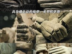 -秦始皇帝陵博物院(兵马俑)