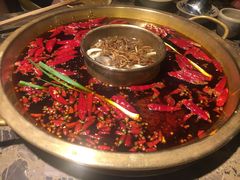 -小龙坎火锅(新天润店)