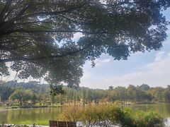 -东莞植物园